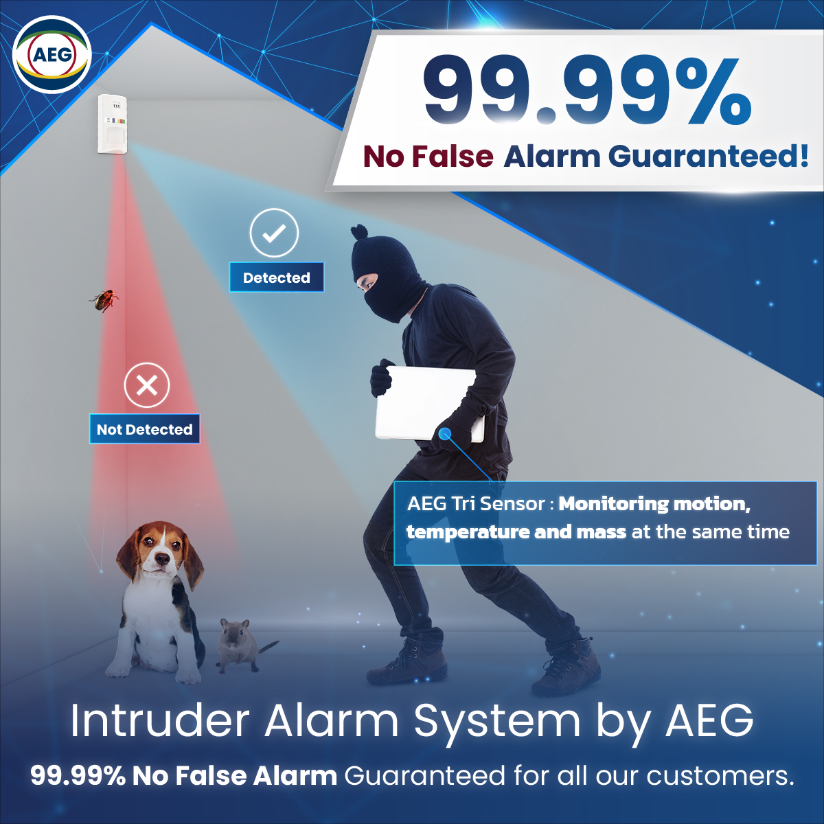 intruderalarm